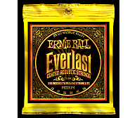 ERNIE BALL EB 2554 seria EVERLAST COATED 80/20