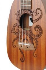 Ukulele koncertowe Flycat P10C plus pokrowiec