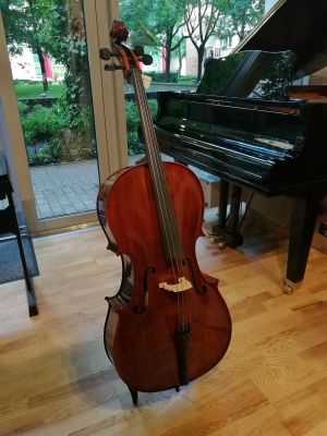 Palatino VC-850 - Wiolonczela 4/4 - 6