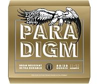 ERNIE BALL EB 2088 seria PARADIGM