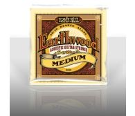 ERNIE BALL EB 2002 seria EARTHWOOD ACOUSTIC