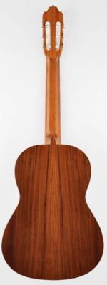 Esteve 6PS - Gitara klasyczna - 2