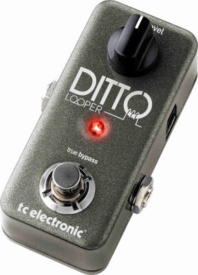 TC Ditto Looper - Looper Gitarowy - 2