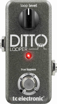 TC Ditto Looper - Looper Gitarowy