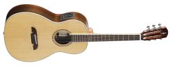 ALVAREZ AP-70 E LR BAGGS