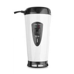 IPS 300 24/230V (150/300W) PRZETWORNICA NAPIĘCIA