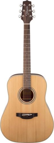 Takamine GD20-NS