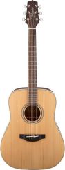 Takamine GD20-NS