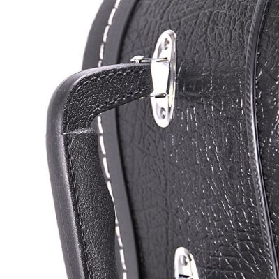 Canto 12-WC-100  12-strunowa - 2