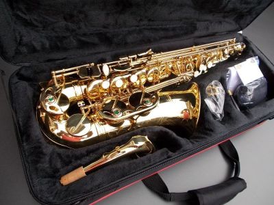 Eastman EAS-500 - 5