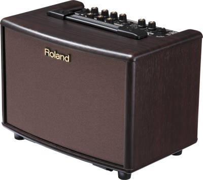 Roland AC-33 RW (Palisander)