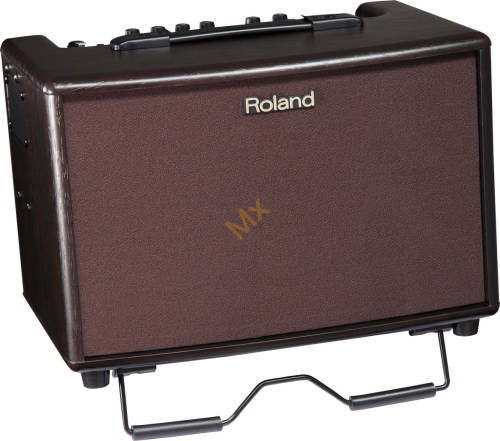 Roland AC-60 RW (Palisander) 