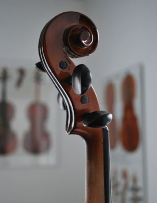 Skrzypce uczniowskie 4/4 BEGINNER - 5