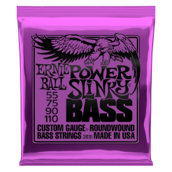 Ernie Ball 2831 <55-110>