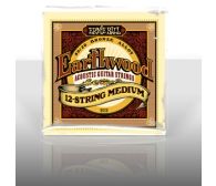 ERNIE BALL EB 2012 seria EARTHWOOD ACOUSTIC
