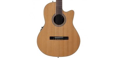 Applause AB24C II CED by Ovation- Gitara elektro klasyczna - 2
